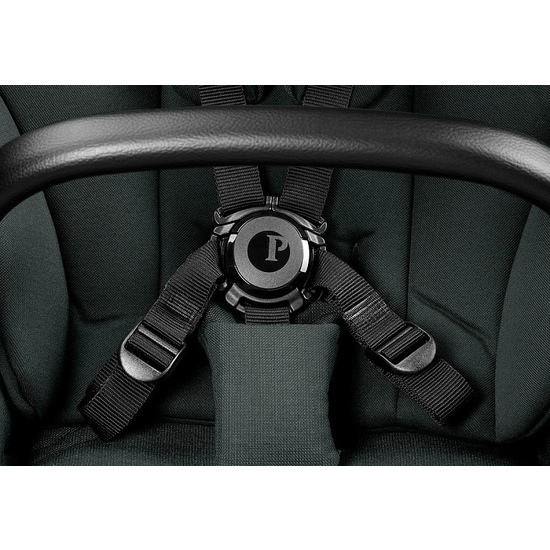 Коляска 2 в 1 Peg Perego Veloce TC Belvedere Metal New - 33